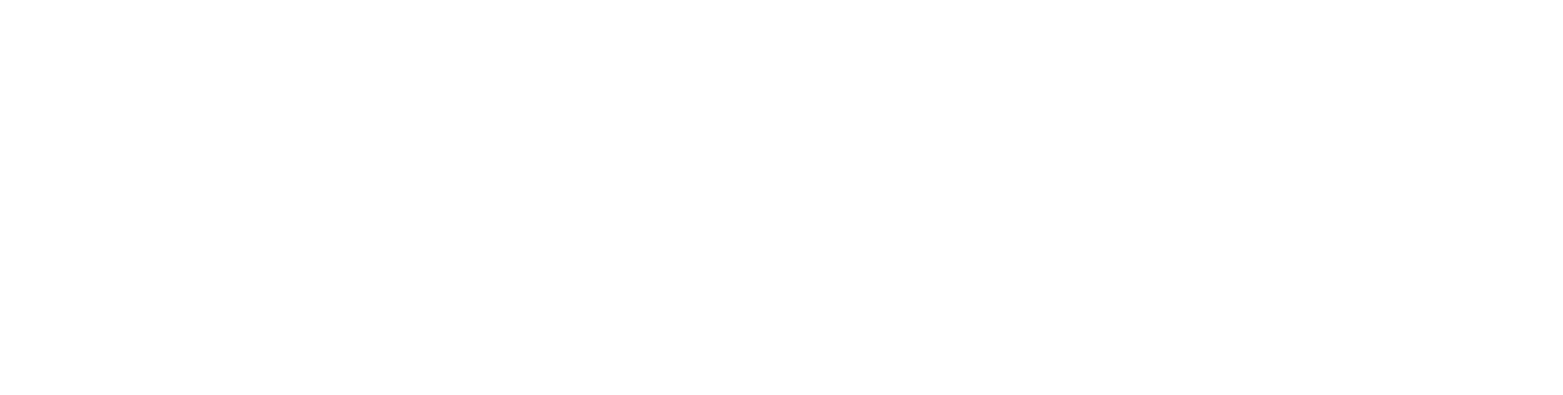 Audiara